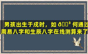 男孩出生于戌时，如 🌳 何通过周易八字和生辰八字在线测算来了解其 🌷 五行缺失情况